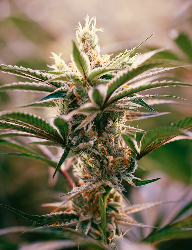 New Bathroom Installation kitchen-bathroom-content-image